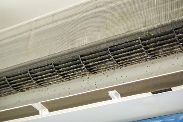 Best Local Air Duct Cleaning Services  in Dawson, GA